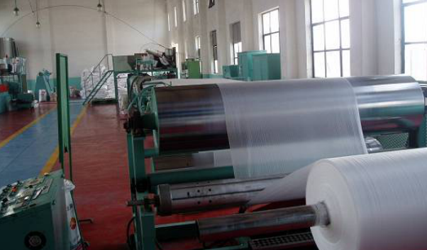 EPE FOAM ROLLER